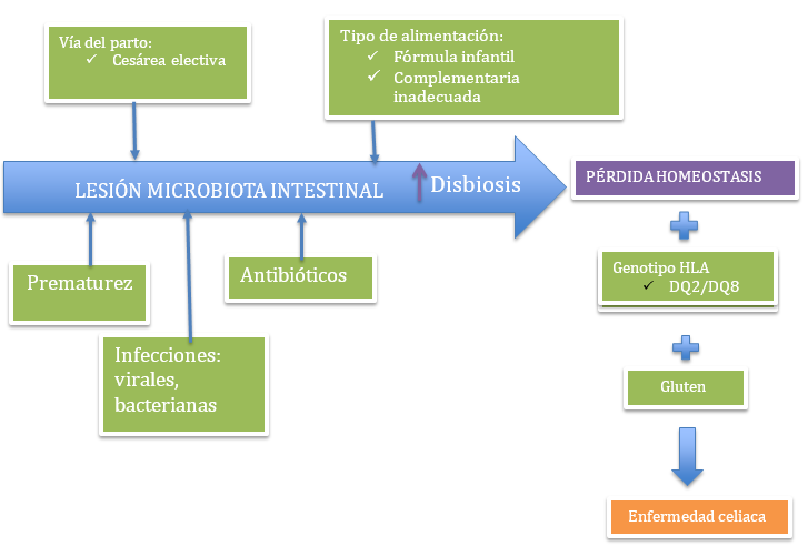 microbiota-colombia-celiaca
