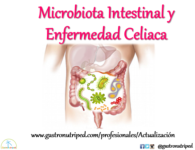 microbiota