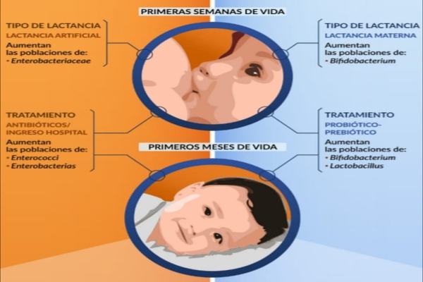 lactancia2